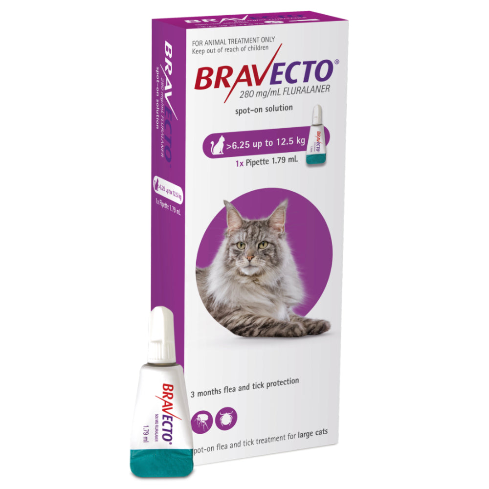 Bravecto Topical Solution for Cats